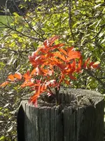 034_600x800.webp