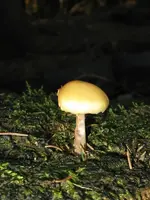 035_600x800.webp