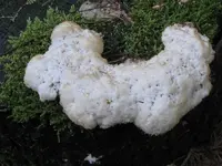 040_800x600.webp