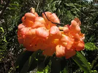 IMG_6135v.webp