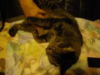 IMGP2758.webp