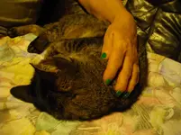 IMGP2755.webp