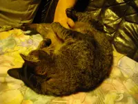 IMGP2756.webp