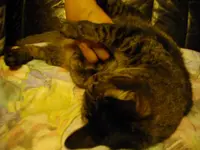IMGP2757.webp