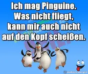 IMG-20151027-WA0000.webp