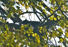 DSC_5955.webp