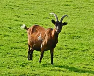 DSC_5943.webp