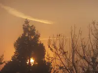 DSCF9259.webp