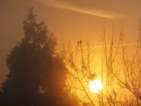 DSCF9272.webp