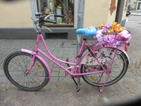 P1540275.webp