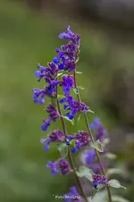 IMG_1922.webp