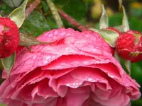 DSCN0379.webp
