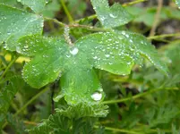 DSCN0357.webp