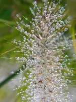 DSCN0361.webp