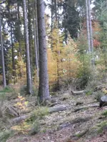 001_600x800.webp