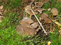 012_1067x800.webp