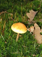 002_600x800.webp