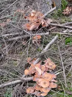 016_600x800.webp