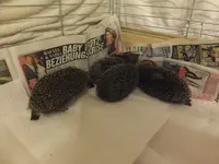 DSCF9300.webp
