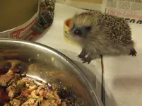 DSCF9303.webp