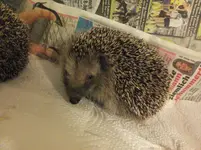 DSCF9314.webp