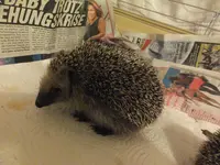 DSCF9327.webp