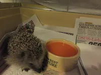 DSCF9331.webp