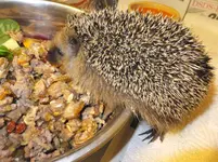 DSCF9340.webp