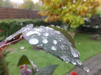 DSCF9138.webp
