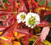 DSCF4224 (2).webp