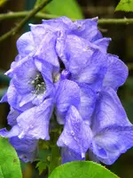 DSCN0395.webp