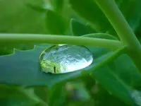 P1030260.webp