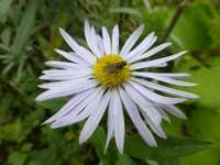 P1550316.webp