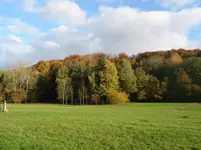 012.webp