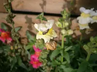 PA300800.webp