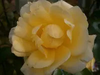 PA300804.webp