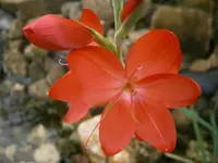 PA300806.webp