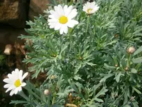 PA300807.webp