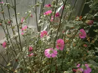 PA300815.webp