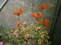 PA300816.webp