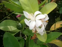 PA300818.webp