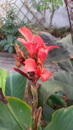 20151031_125732.webp