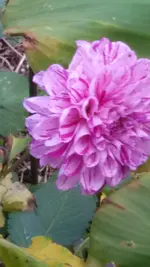 20151031_125746.webp