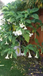 20151031_125815.webp