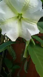 20151031_125823.webp
