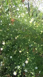 20151031_125920.webp