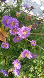 20151031_125935.webp