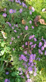 20151031_125942.webp