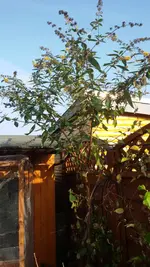 20151031_130016.webp