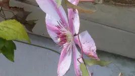 20151031_130028.webp